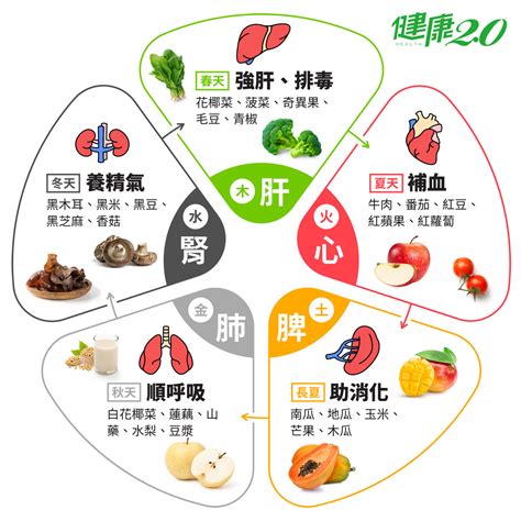 補金食物|藥補不如食補！吃這『五色』食物養五臟